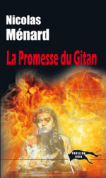 LA PROMESSE DU GITAN - Nicolas MÉNARD